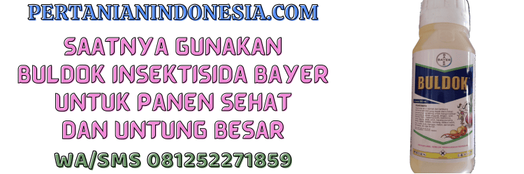 jual,murah,terjangkau,toko online,pertanian indonesia